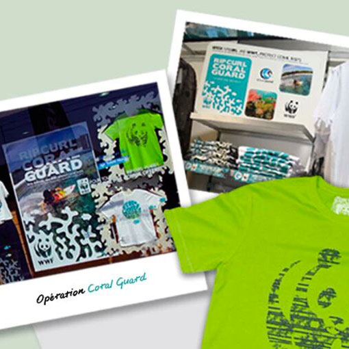 Conception de la PLV Coral Guard et des éléments de la vitrine d'après le pour la collection